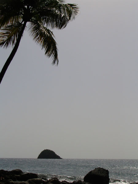 IMG_2108.JPG