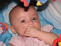 IMG_2741.jpg IMG_2741.jpg