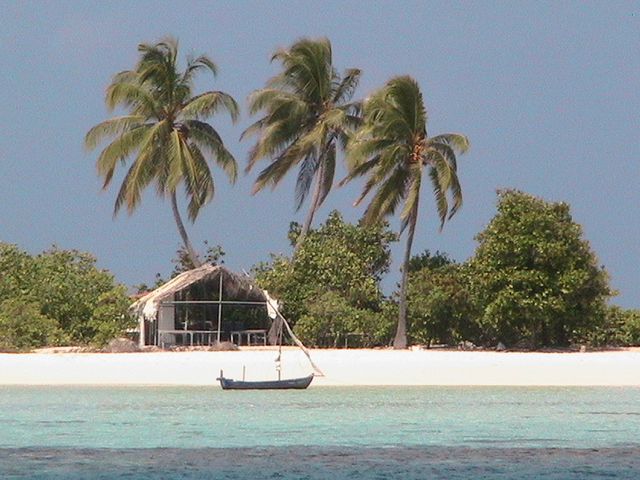 IMG_0207.JPG